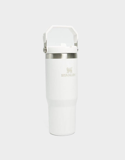 The IceFlow Flip Straw Tumbler 880ML