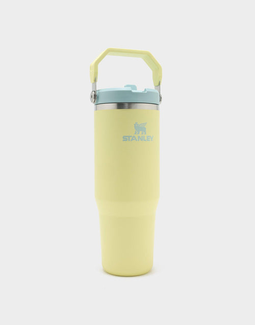 IceFlow Flip Straw Tumbler 2.0