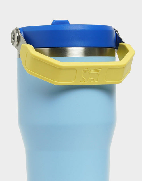 20oz IceFlow Flip Straw Tumbler