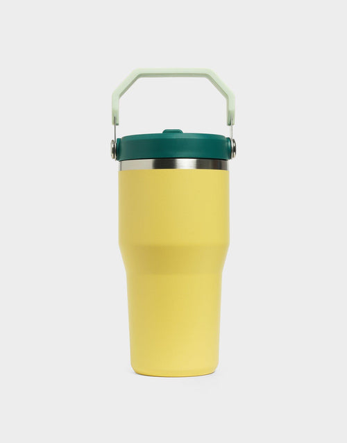 20oz IceFlow Flip Straw Tumbler
