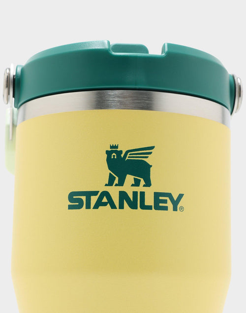 20oz IceFlow Flip Straw Tumbler