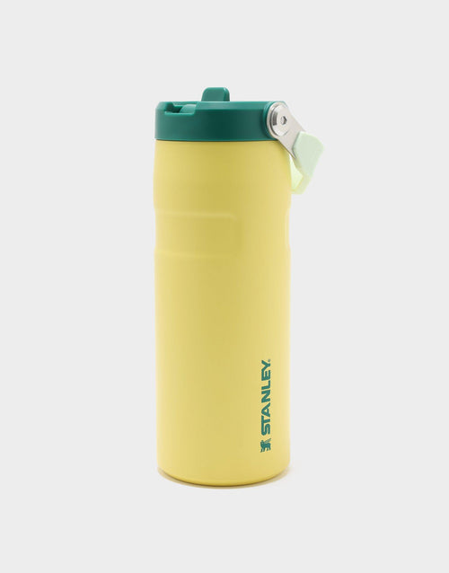 16oz IceFlow Flip Straw Tumbler