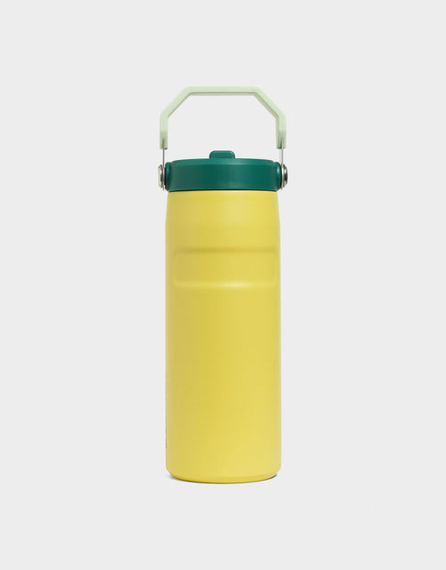 16oz IceFlow Flip Straw Tumbler
