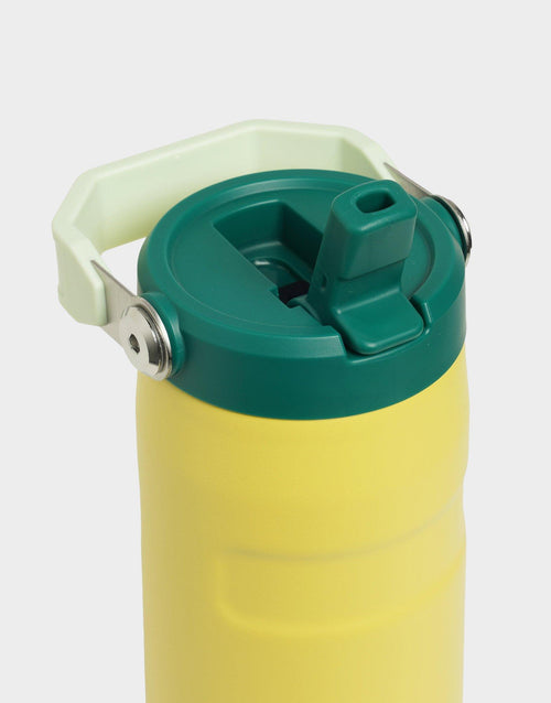 16oz IceFlow Flip Straw Tumbler