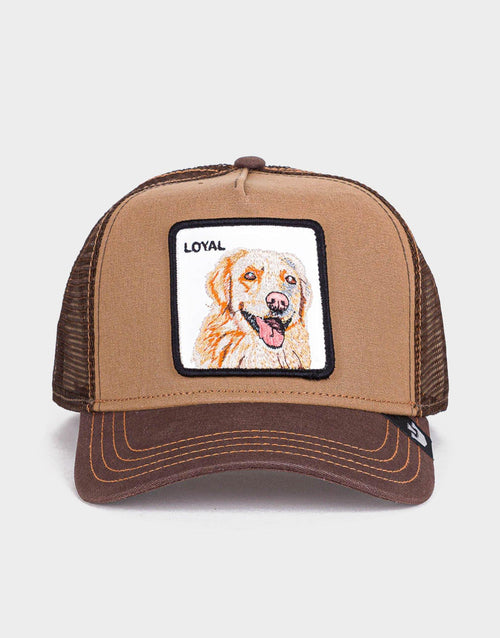 The Loyal Dog Cap