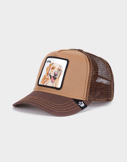 The Loyal Dog Cap