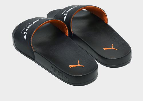 McLaren Leadcat 2.0 Slides