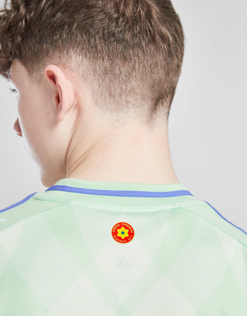 Wales WEC 2025 Away Shirt Junior