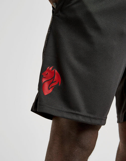 AC Milan Training Shorts