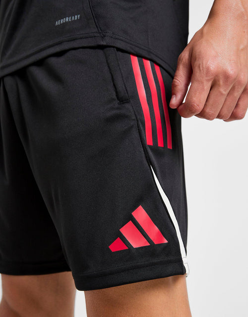Liverpool FC Training Shorts