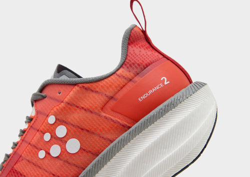 Endurance 2