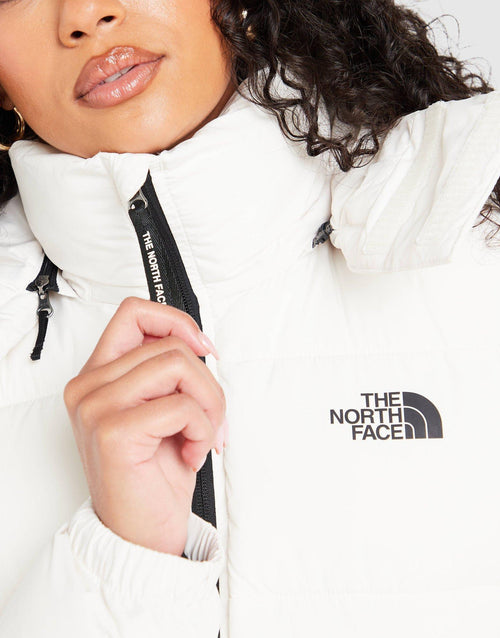 Dome Padded Jacket