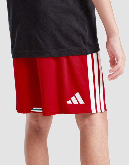 Wales 2026 Home Shorts Junior