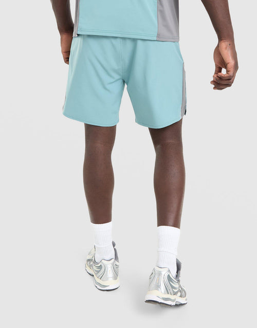 Triathlon Shorts