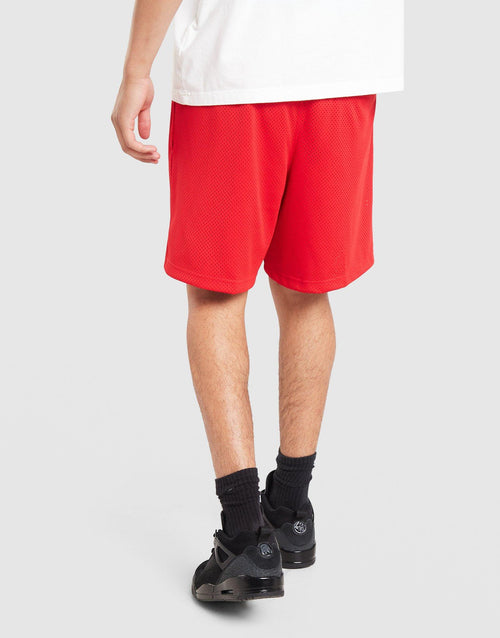 Mesh Shorts