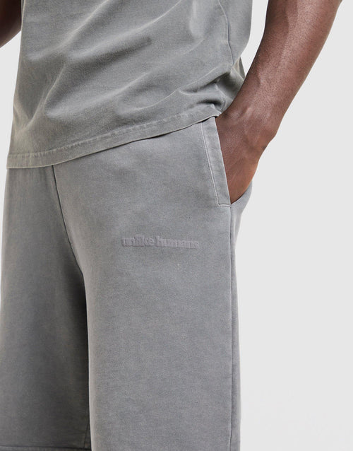 Pigment Shorts