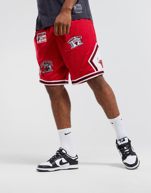 Champions Shorts Bulls
