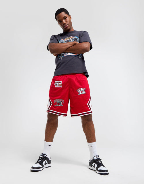 Champions Shorts Bulls