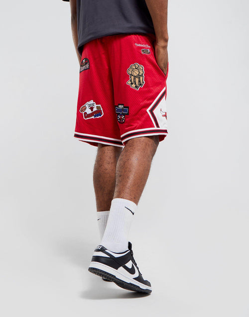 Champions Shorts Bulls