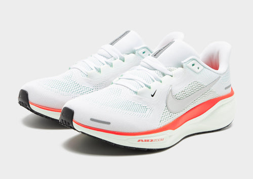 Pegasus 41