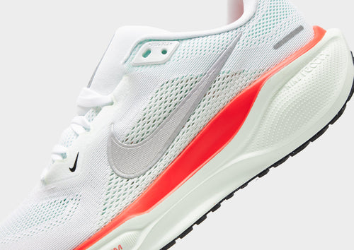 Pegasus 41