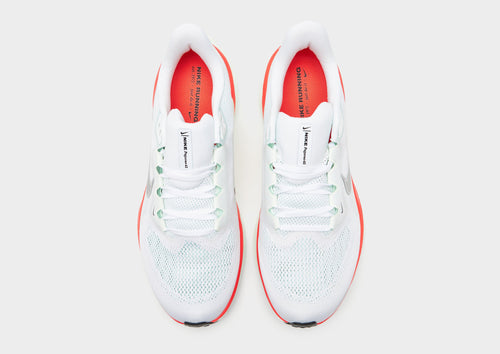 Pegasus 41