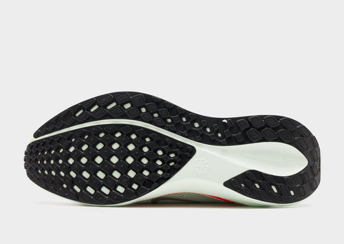 Pegasus 41