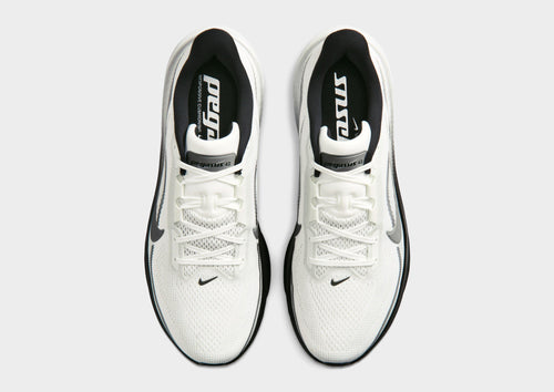Pegasus 42