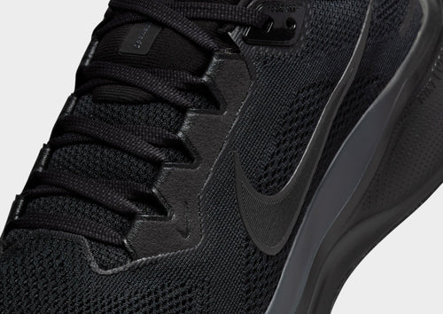 Pegasus 41