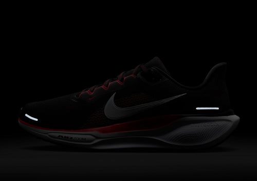 Pegasus 41