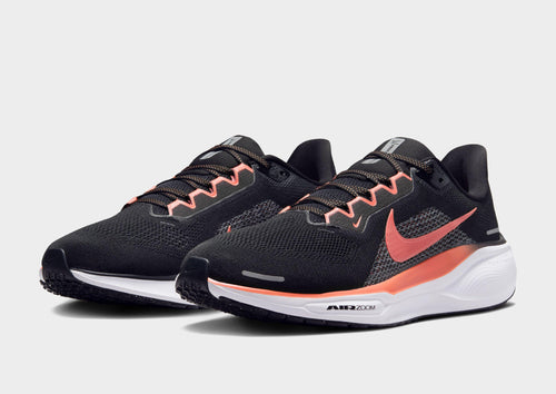 Pegasus 41