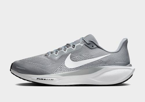 Pegasus 41
