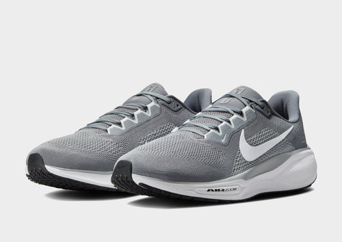 Pegasus 41