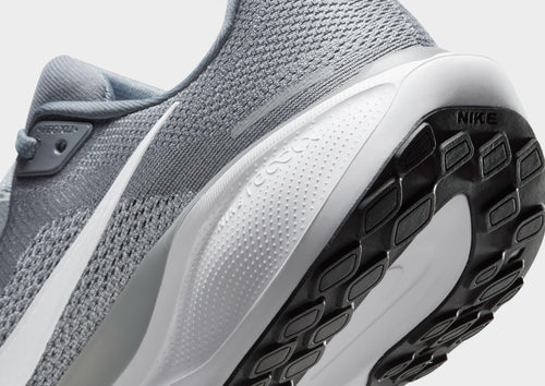 Pegasus 41