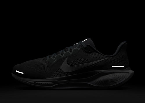 Pegasus 41