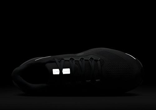 Pegasus 41