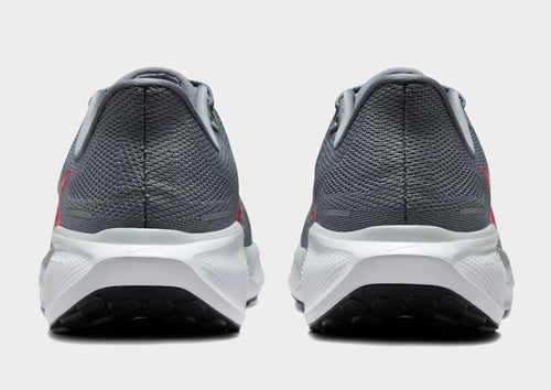 Pegasus 41