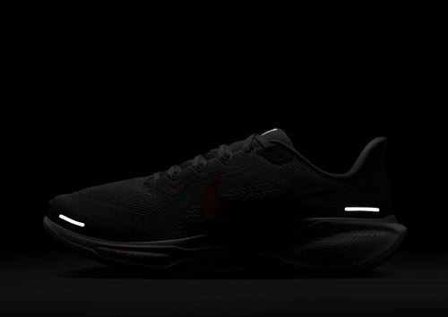Pegasus 41