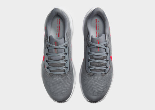 Pegasus 41