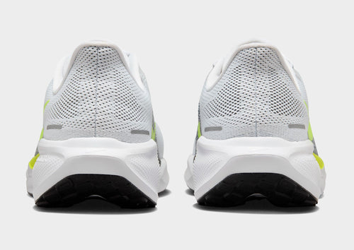 Pegasus 41