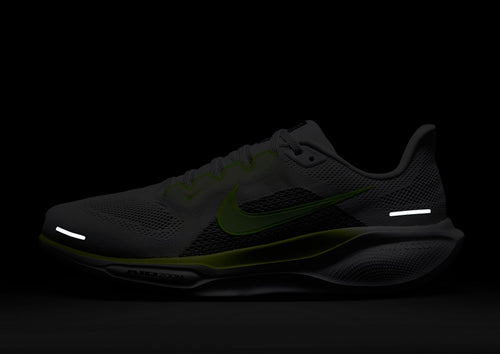 Pegasus 41