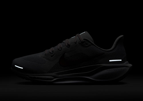 Pegasus 41
