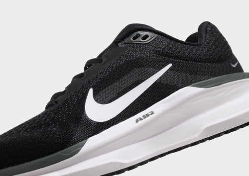 Air Winflo 11 Women's