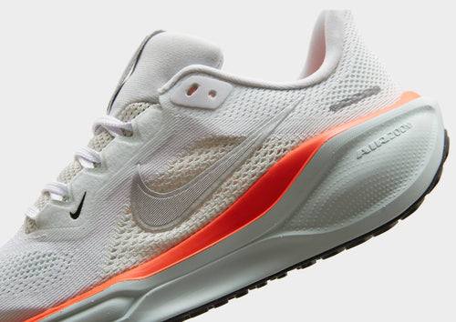 Pegasus 41 Junior's