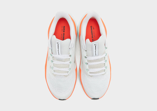 Pegasus 41 Junior's