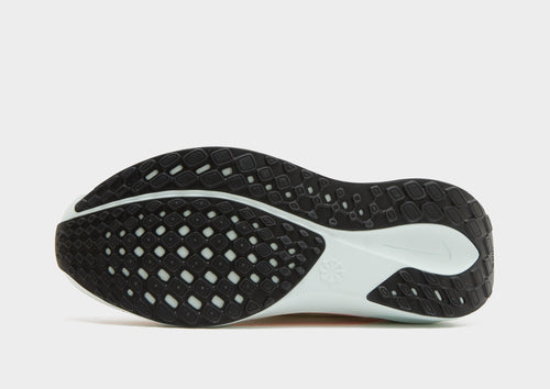 Pegasus 41 Junior's