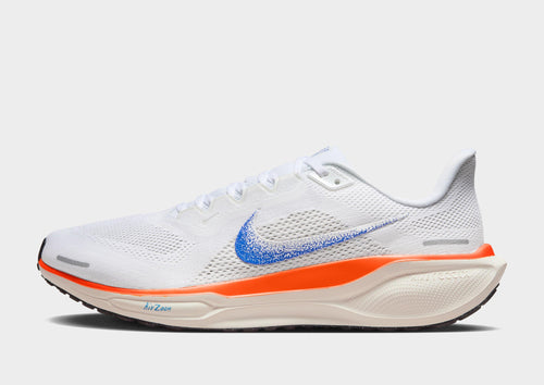 Pegasus 41
