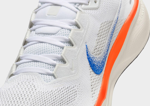 Pegasus 41