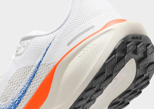 Pegasus 41