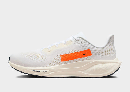 Pegasus 41